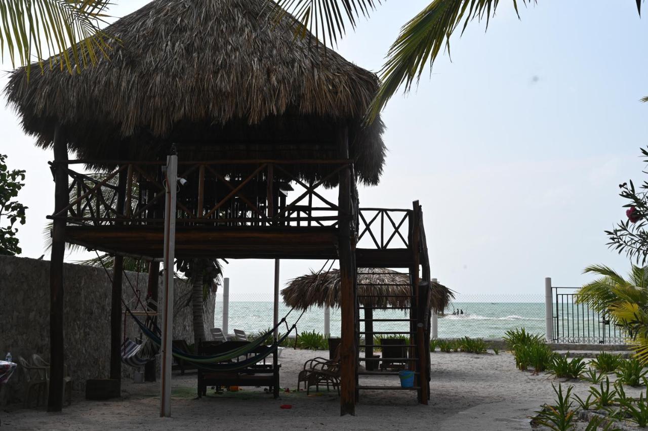 La Casa Del Mexicano Celestun Exteriör bild